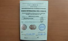 Licencia-conduccion-internacional